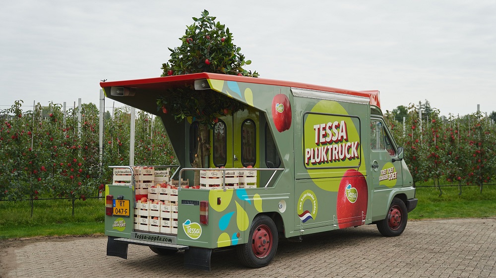 Tessa®: nieuwe volzoete appel van Nederlandse bodem nu verkrijgbaar in supermarkt