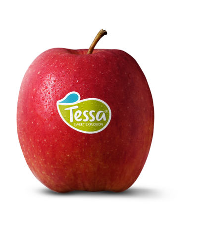 Tessa nieuwe volzoete appel van Nederlandse bodem nu verkrijgbaar in supermarkt